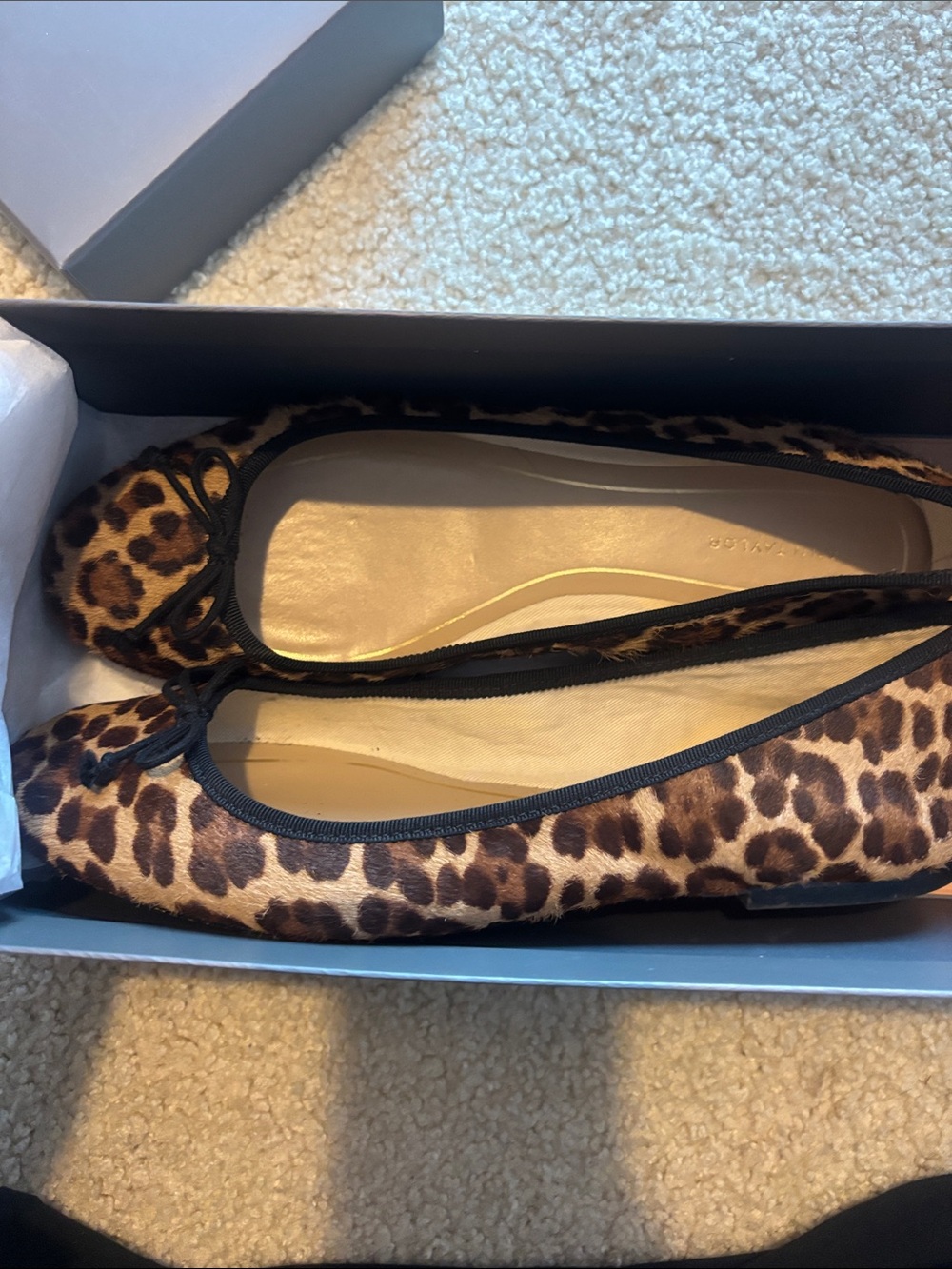 Leopard Print Ballet Flats - Women